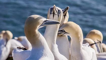 开云体育官网入口-巴塞罗那主场-大胜莱加内斯，梅西梅开二度，在签约以后,巴塞罗那俱乐部尽心尽力地帮助梅西成长